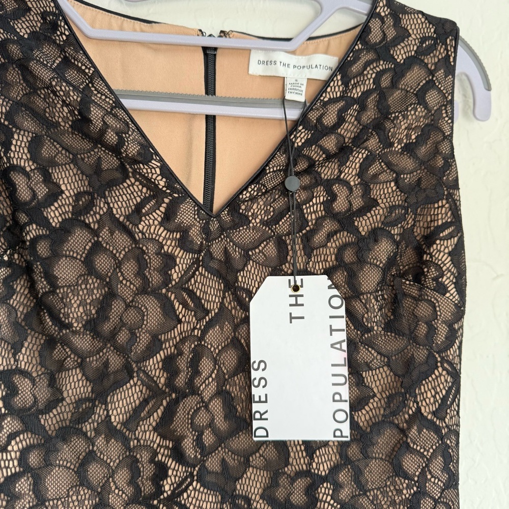 Chic Black and Nude Lace Dress